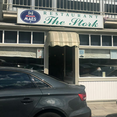 The Stork